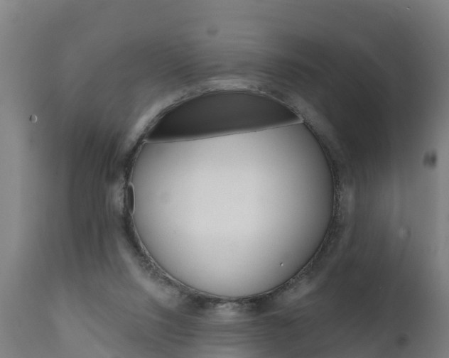 X0000111910064200907271045