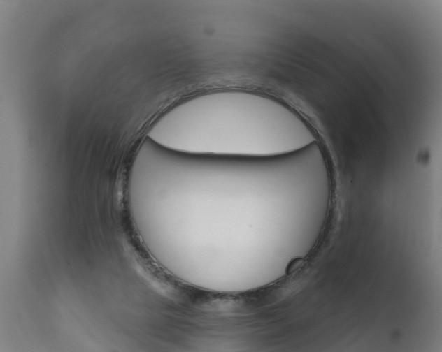 X0000111910065200907271045