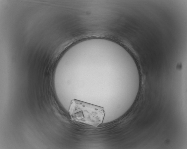 X0000111910068200907271045