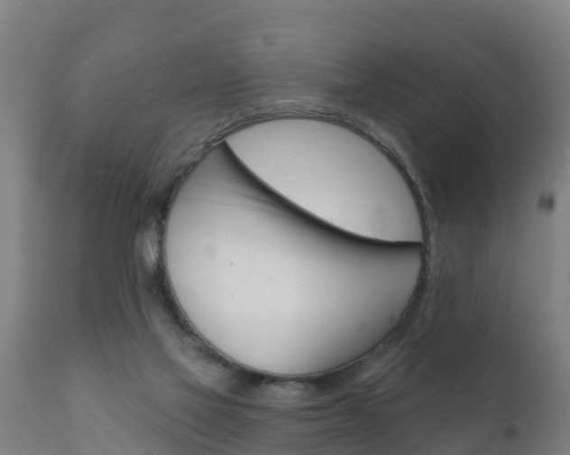 X0000111910069200907271045