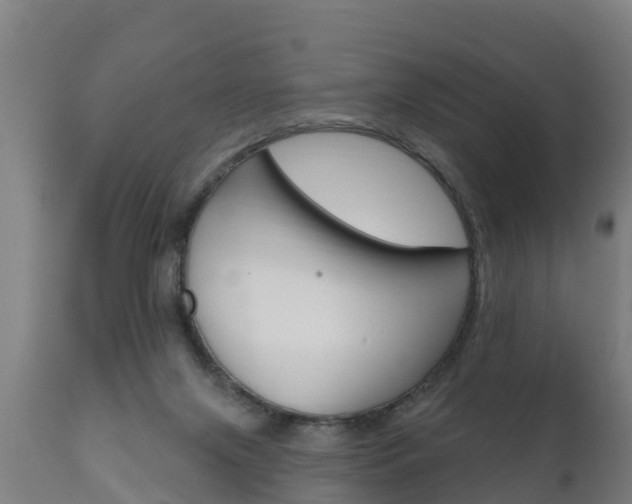 X0000111910071200907271045