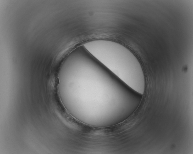 X0000111910072200907271045