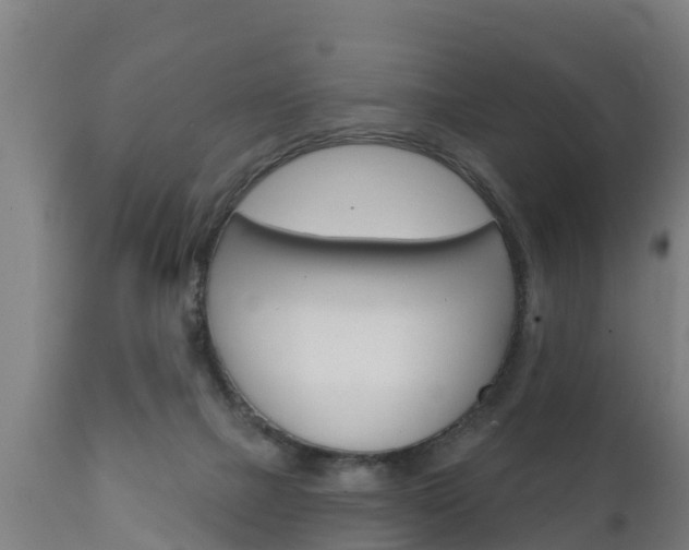 X0000111910073200907271045