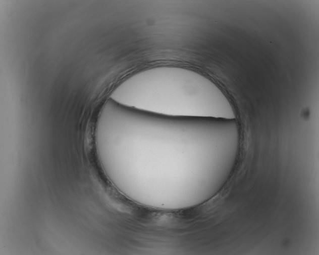 X0000111910074200907271045