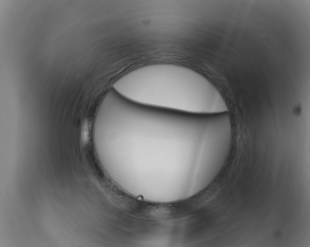 X0000111910075200907271045