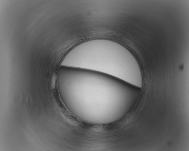 X0000111910076200907271045