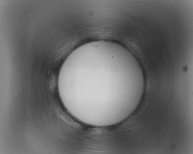X0000111910077200907271045