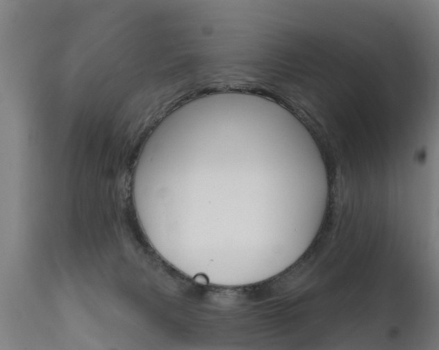 X0000111910079200907271045