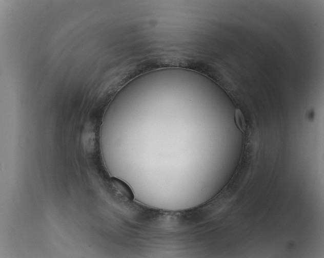 X0000111910080200907271045
