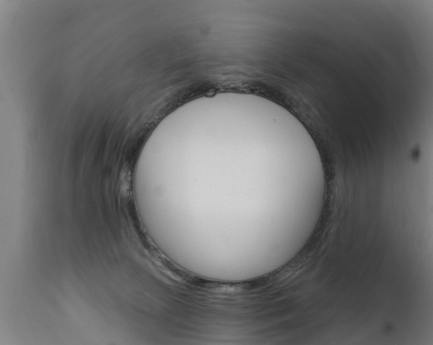 X0000111910081200907271045