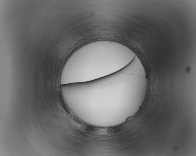 X0000111910083200907271045