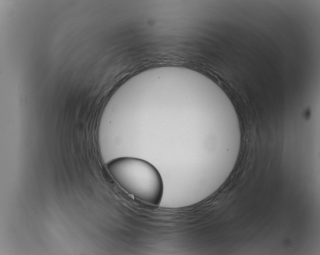 X0000111910084200907271045