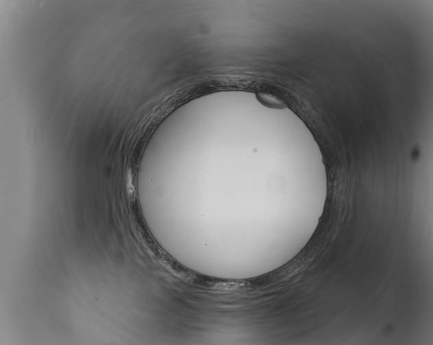 X0000111910089200907271046