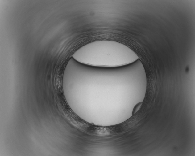 X0000111910091200907271046