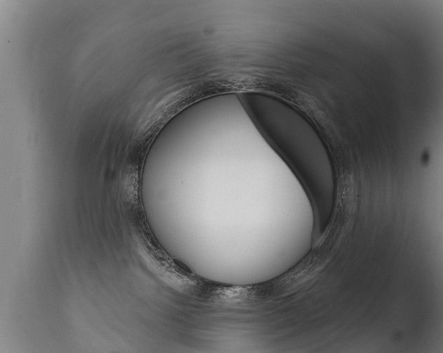 X0000111910092200907271046