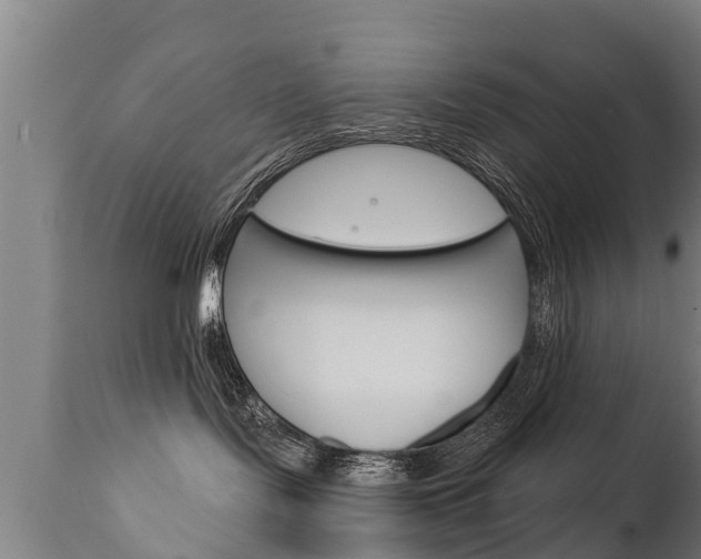 X0000111910095200907271046