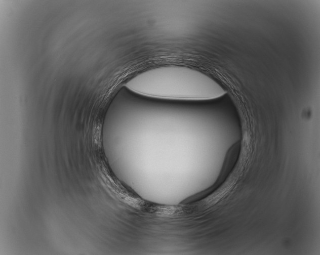 X0000111910096200907271046
