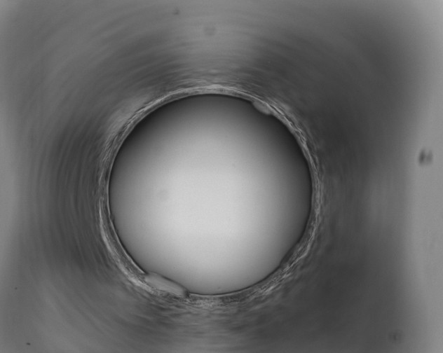 X0000111910097200907271045