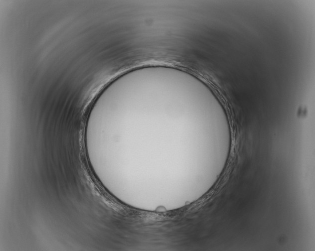 X0000111910098200907271045