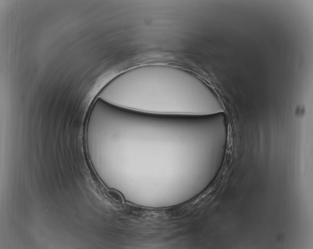 X0000111910099200907271045