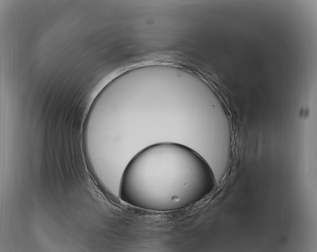 X0000111910100200907271045
