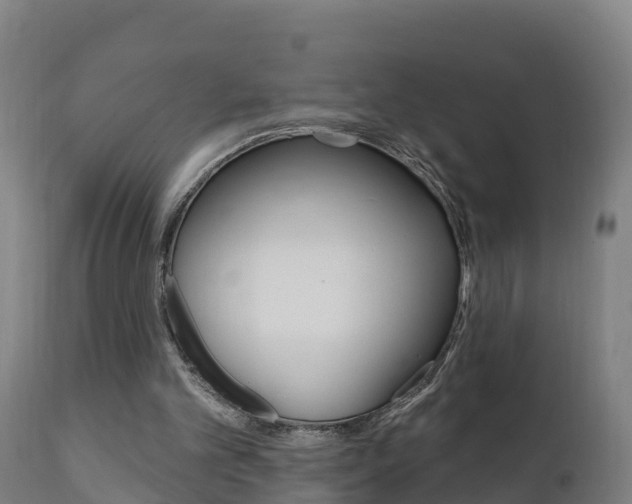 X0000111910101200907271045