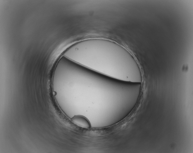 X0000111910103200907271045