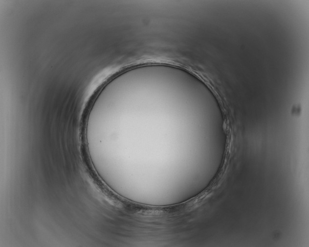 X0000111910104200907271045