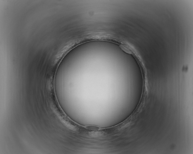 X0000111910105200907271045