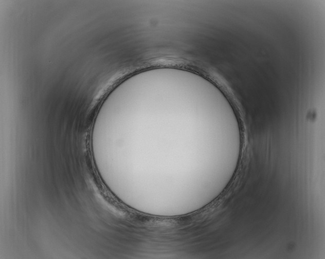 X0000111910106200907271045