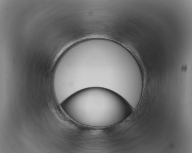 X0000111910108200907271045
