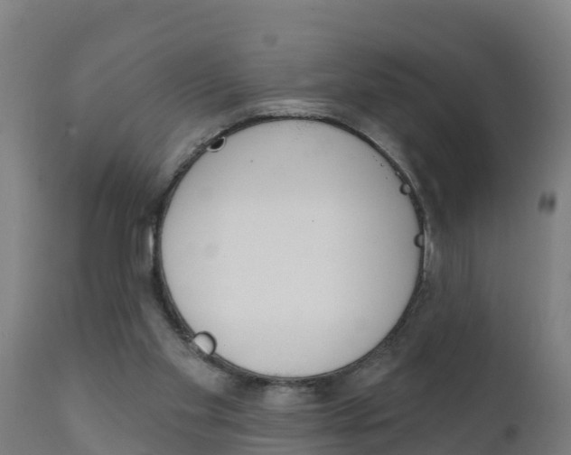 X0000111910109200907271045