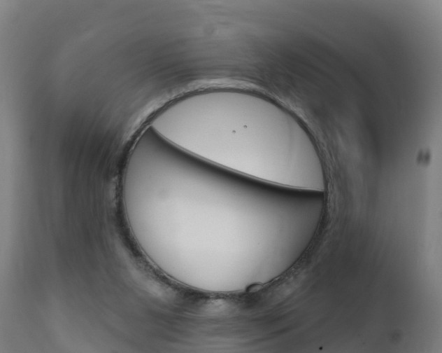 X0000111910111200907271045