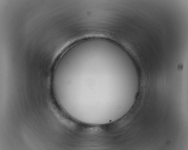 X0000111910112200907271045