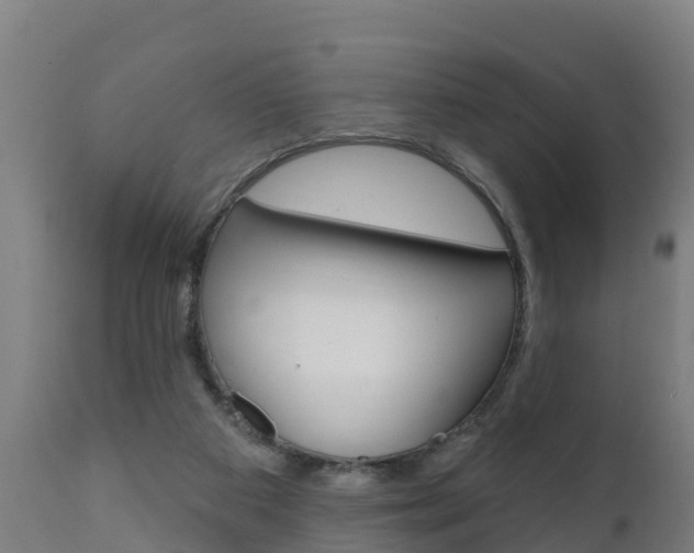 X0000111910113200907271045