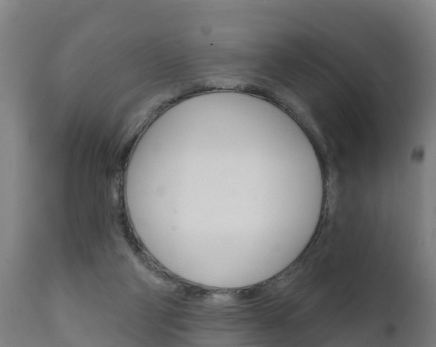X0000111910114200907271044