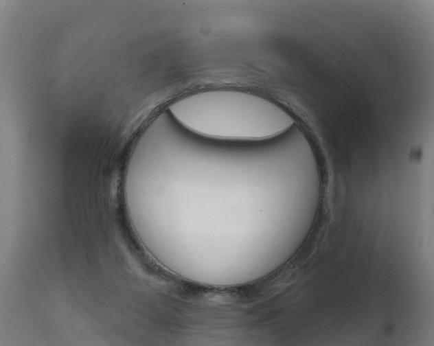 X0000111910115200907271044