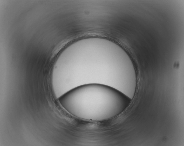 X0000111910116200907271044