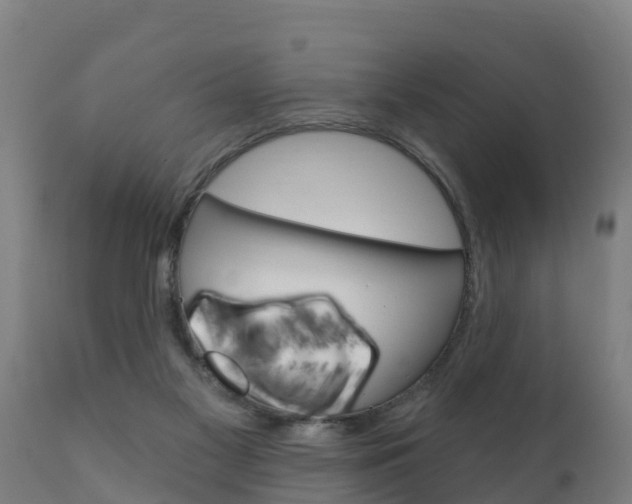 X0000111910117200907271044