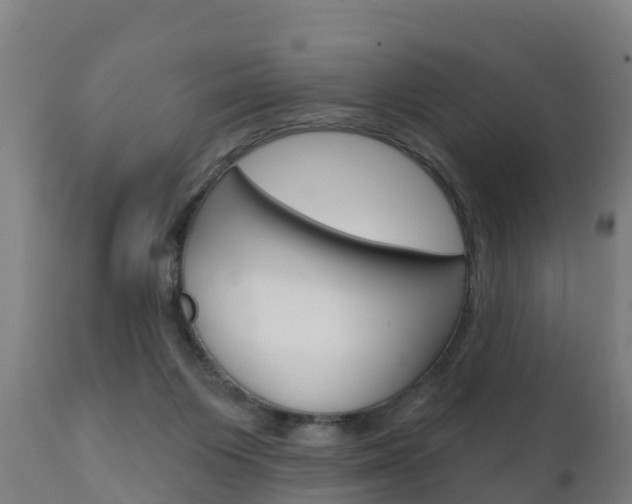 X0000111910119200907271044