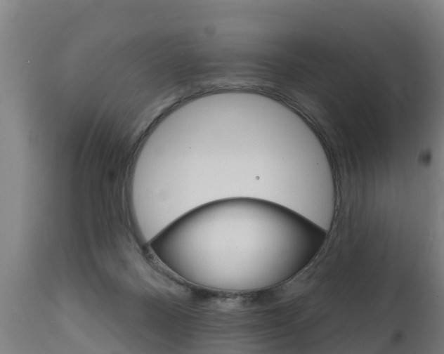 X0000111910120200907271044