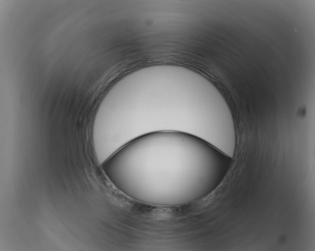 X0000111910124200907271044