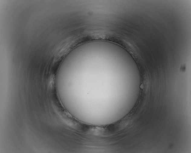 X0000111910125200907271044