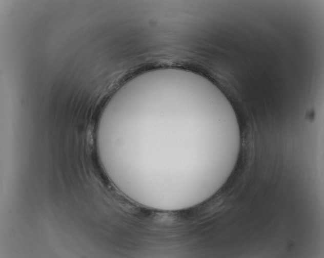 X0000111910127200907271044