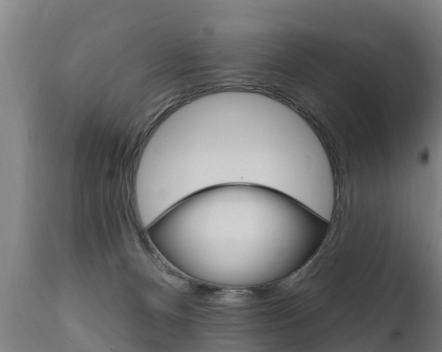 X0000111910128200907271044