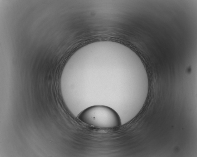 X0000111910129200907271044