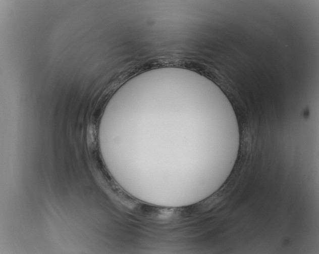 X0000111910130200907271044