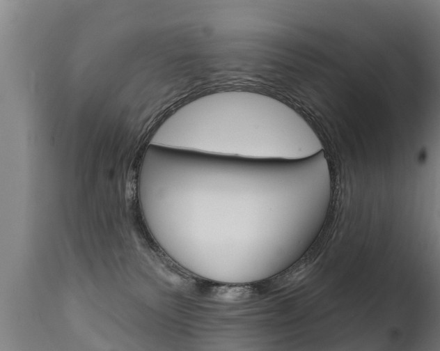 X0000111910135200907271044