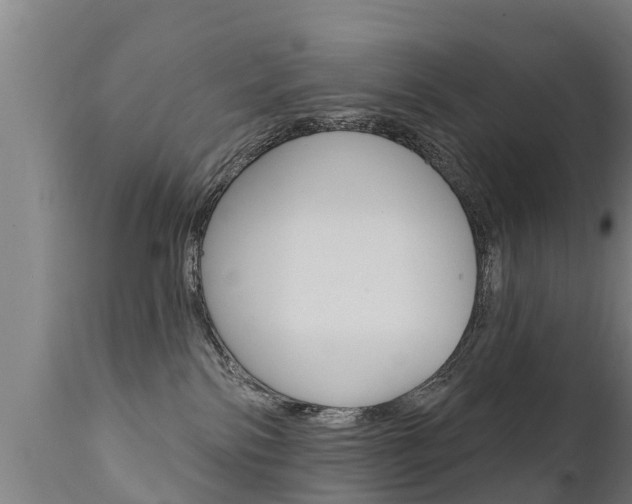 X0000111910138200907271044
