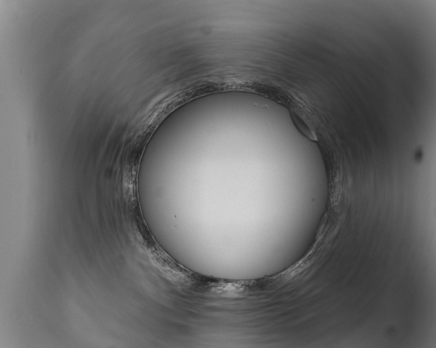 X0000111910140200907271044